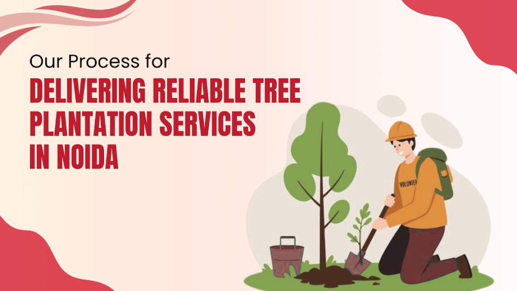 Tree Plantation Services in Noida