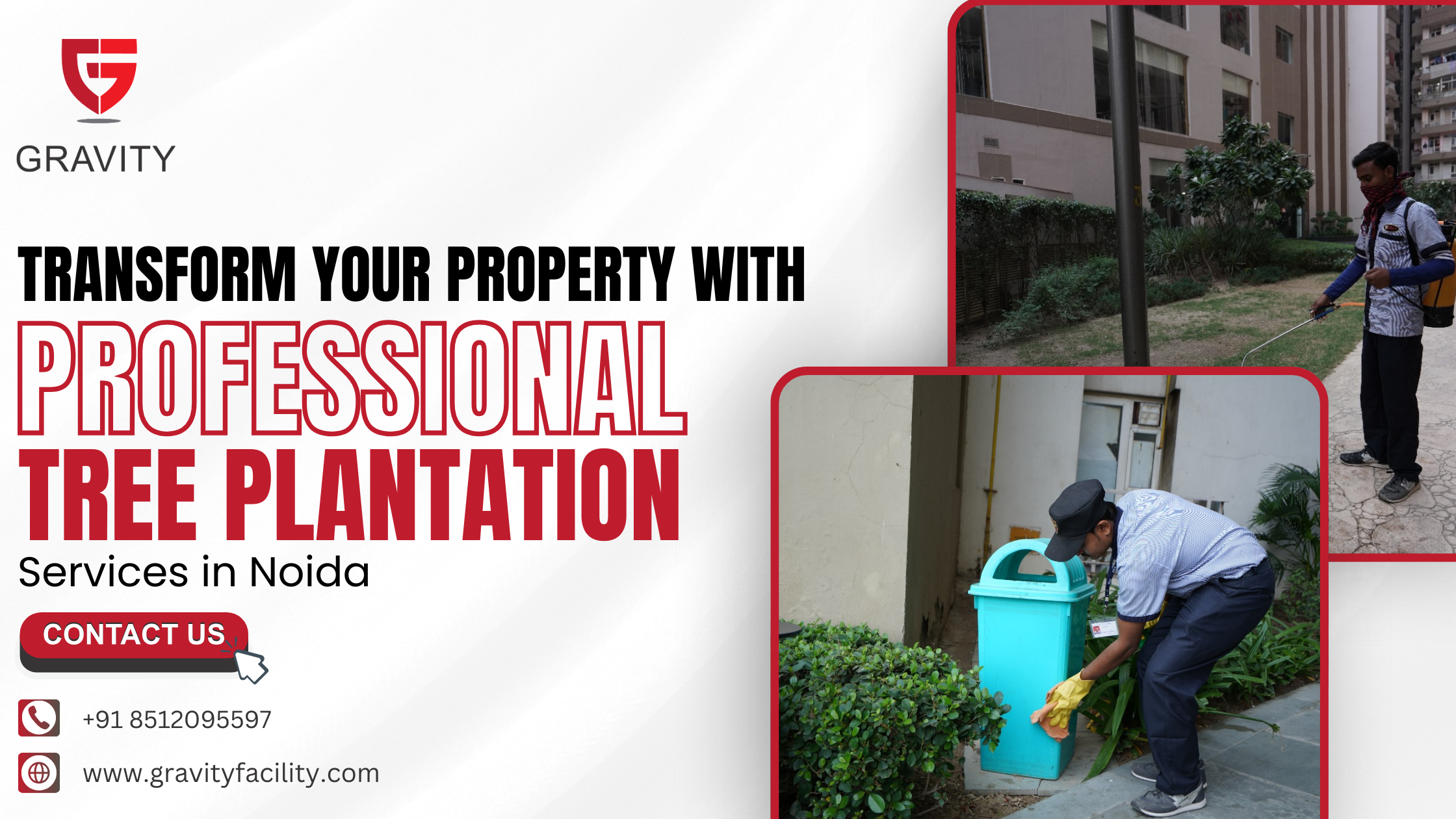 Transform Your Property with Professional Tree Plantation Services in Noida