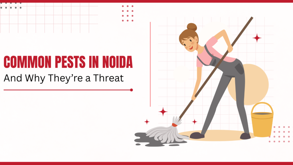 Common Pests in Noida
