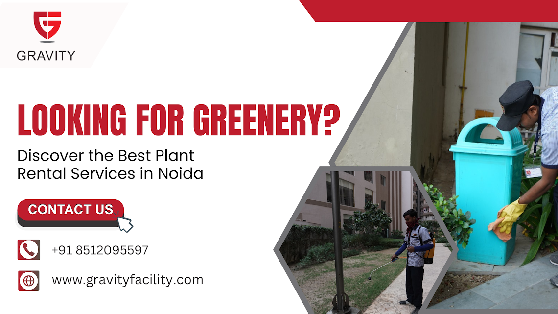 Looking for Greenery? Discover the Best Plant Rental Services in Noida