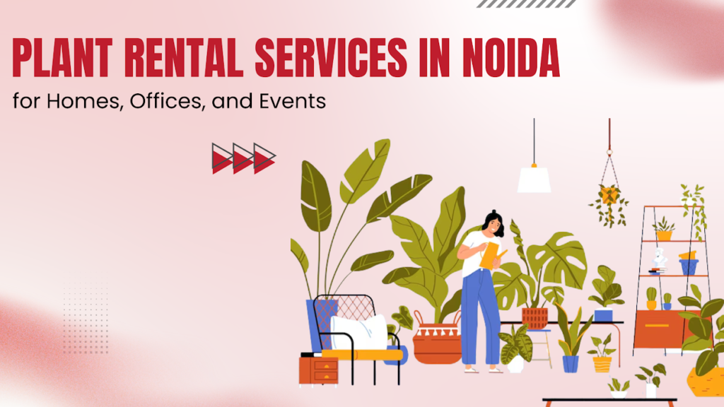Plant Rental Services in Noida