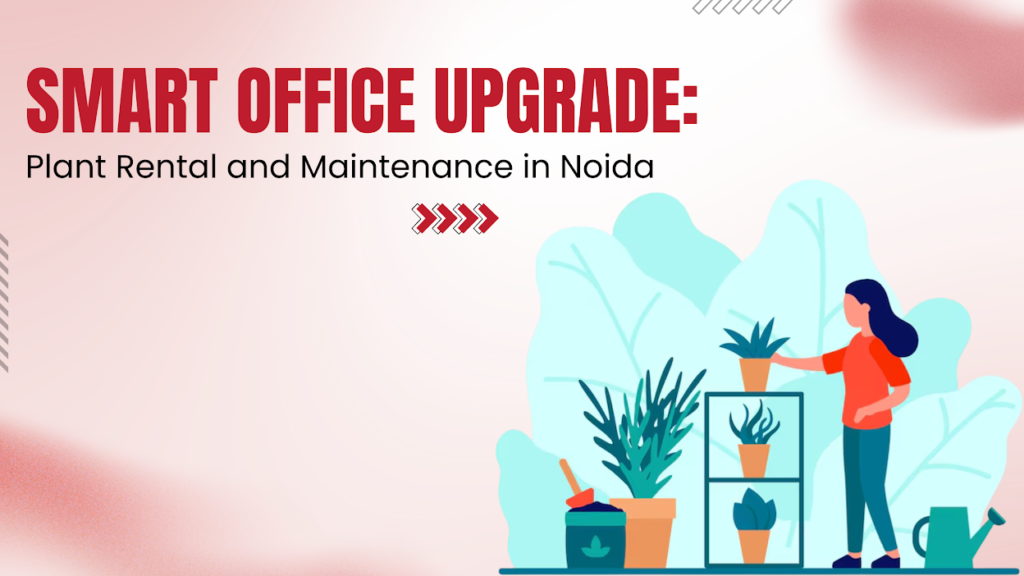 Plant Rental and Maintenance in Noida
