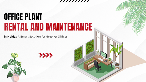Office Plant Rental and Maintenance in Noida