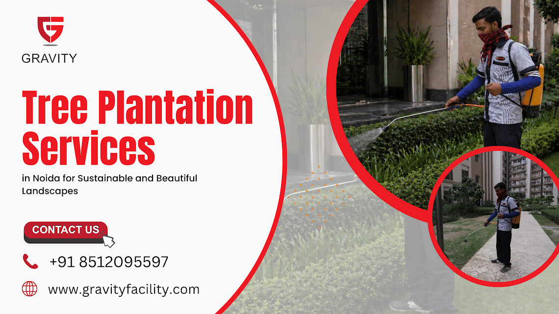 Tree Plantation Services in Noida for Sustainable and Beautiful Landscapes