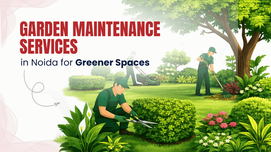 Garden Maintenance Services in Noida
