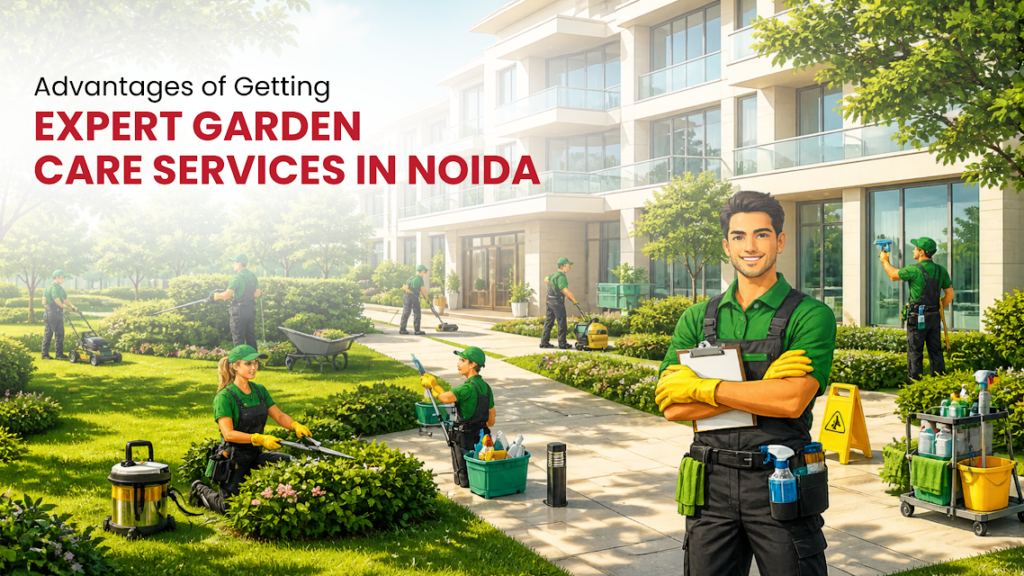Expert Garden Care Services in Noida