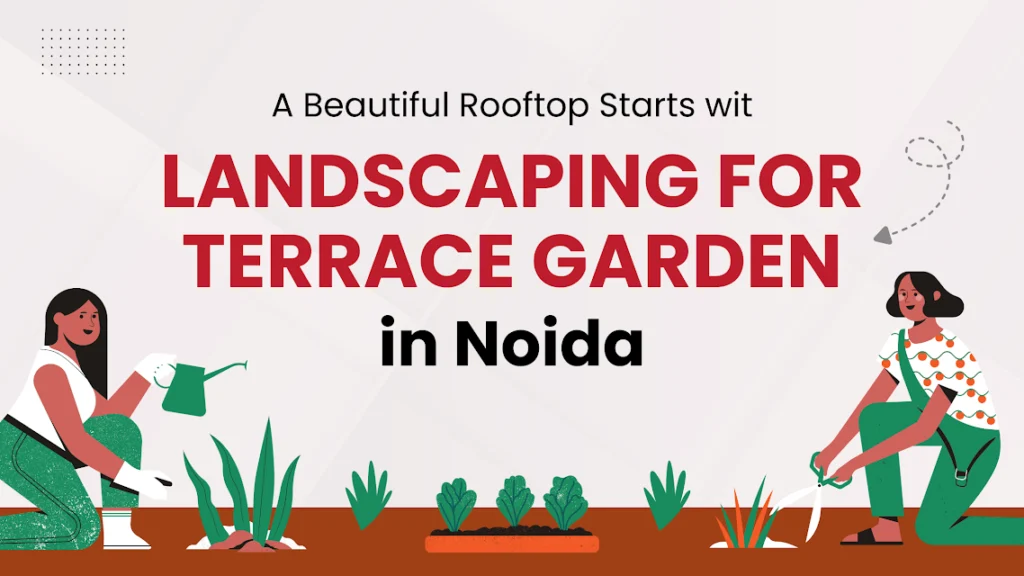 Landscaping for Terrace Garden in Noida